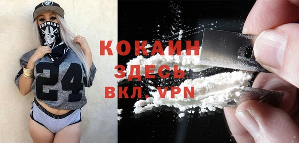 гашик Вяземский