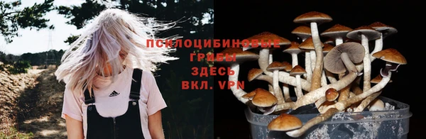 дмт Дмитриев