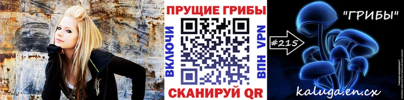 Галлюциногенные грибы Psilocybine cubensis блэк спрут как зайти Элиста